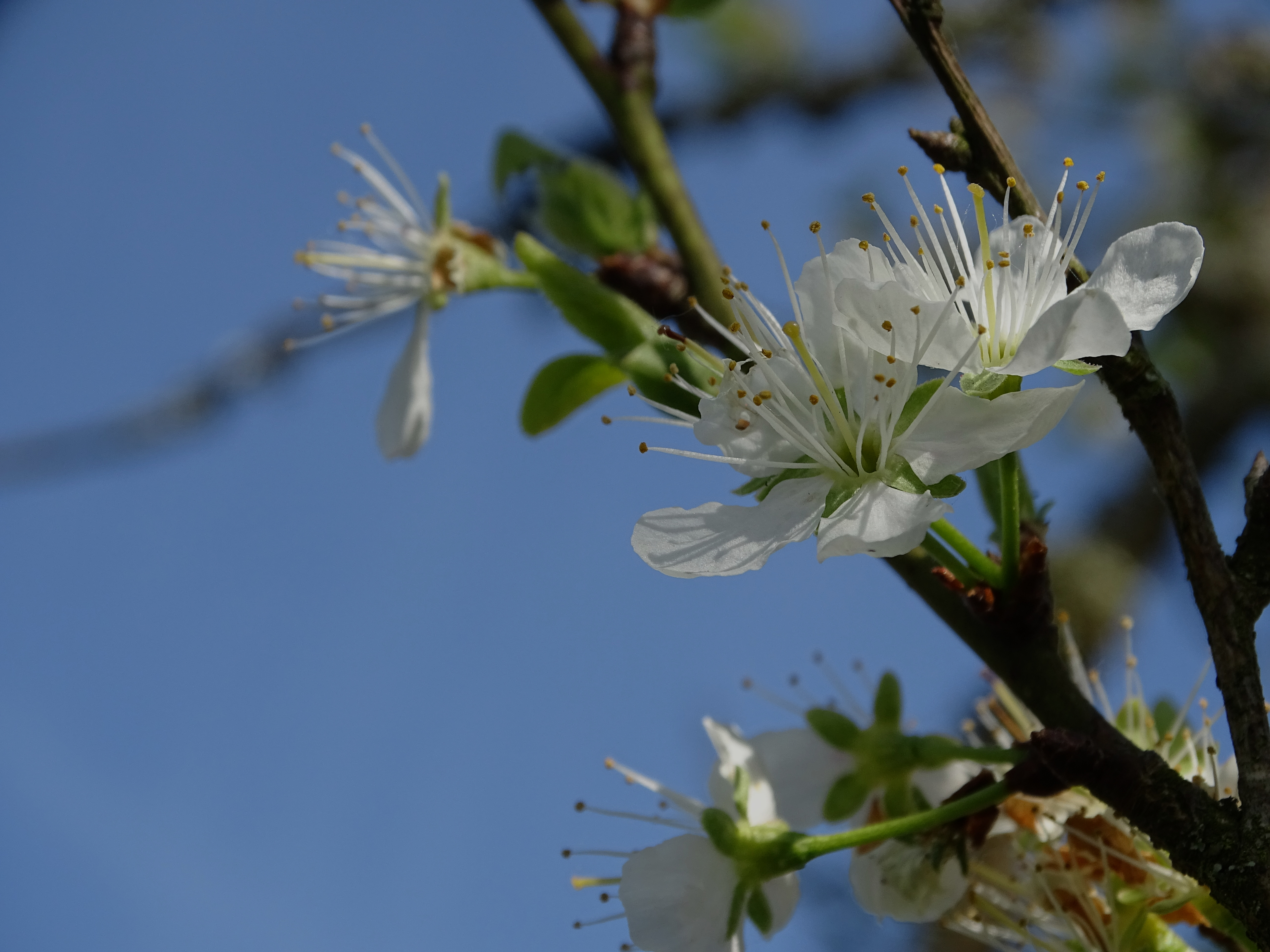 Exemple Photographie